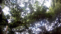 Must Watch Video