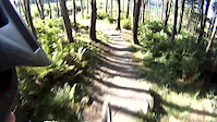 Stainburn Red Trail down hill bit