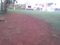 Must Watch Video