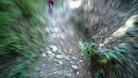 Freeride sassaia MTB