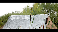 Must Watch Video