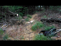 Clearing the Beardance Nov. 2, 2013