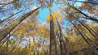 Rocky River Trail