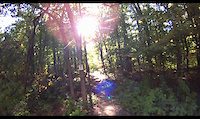 Blue trail 2