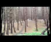 Must Watch Video