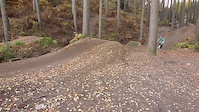 Must Watch Video