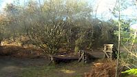 Tavi Woodlands