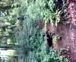 My bridleway jump attempt