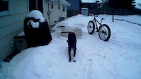 Fat Bike Pump Track