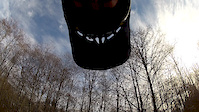 Poplar - Burnaby Mountain