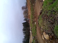 comrie blue run