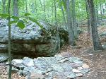 Carvins Cove