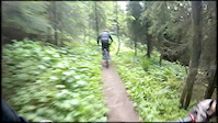 Must Watch Video
