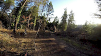 tavi gorse jumps session
