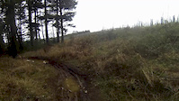 Cann Woods