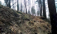 Czarnota!