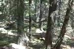 2008 Alberta DH Provincials