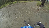DH3