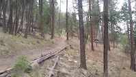 Local Trail