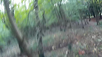 Must Watch Video
