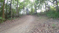 A Quick Run at Phillips Park