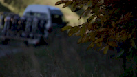 Gravitahi DH 2014
