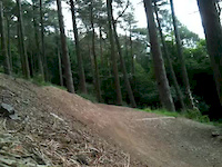 Setmurthy 2013