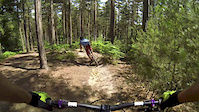 Swinley DH track