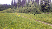 Riding with the Sun Peaks Bears