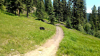 Riding with the Sun Peaks Bears