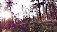 Upper Ridge Descent