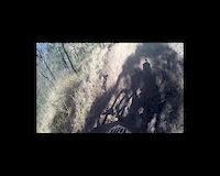 Must Watch Video