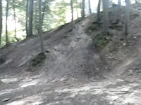 Korzenie
