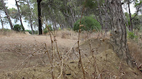 Must Watch Video