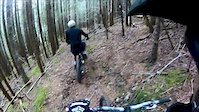Packhorse Run - Early Fall - Run 2