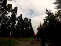 Hamsterley Red Trail