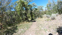 JMC Downhill