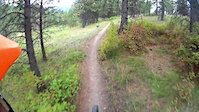 Crazy Canyon
