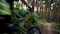 An Evening at Woburn