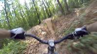 Must Watch Video