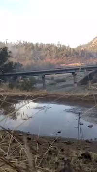 Must Watch Video