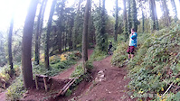 Haldon