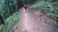 Endor Flowtrail Virgins
