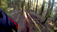Nouvelle section sous les sapins - FontBruno
