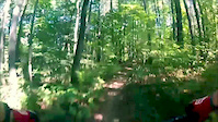 Warrior Creek