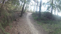 Lage Vuursche 11 januari 2015