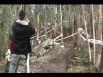 Must Watch Video