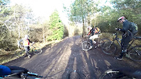 Cannock Chase