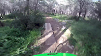 Ben Shemen Forest 06/02/15
