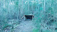 Must Watch Video